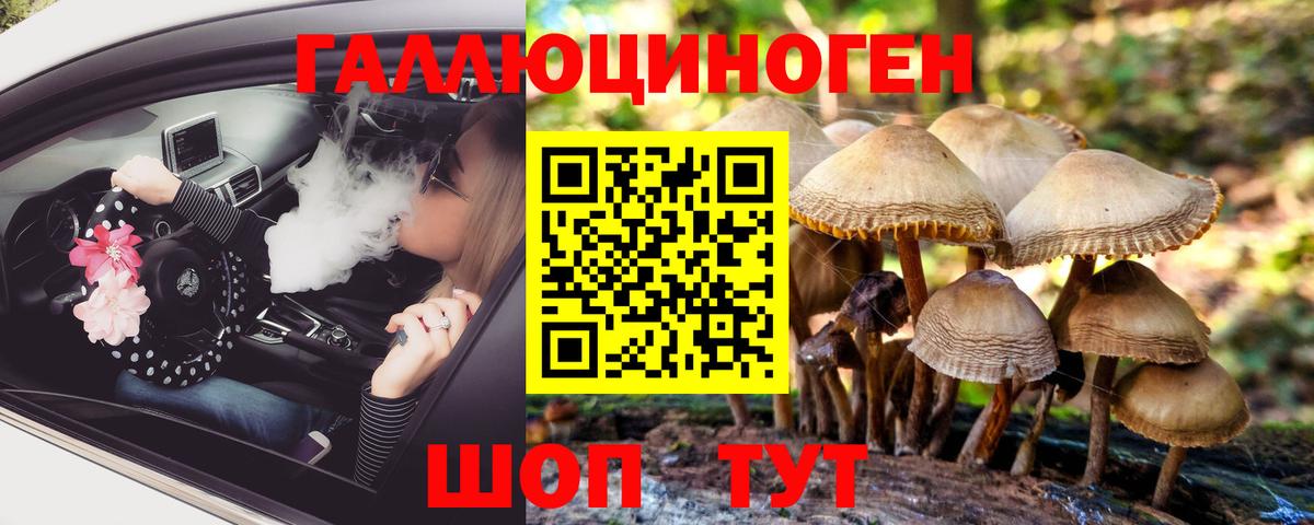 Псилоцибиновые грибы прущие грибы Чистополь